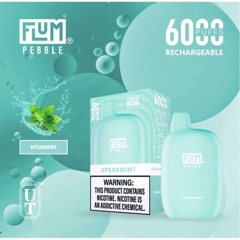 Flum Pebble 6000 Puff Disposable 5% **SINGLE** (Master Case of 200)