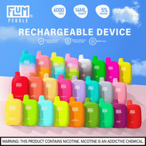 Flum Pebble 6000 Puff Disposable 5% **SINGLE** (Master Case of 200)