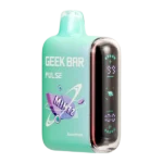 StoneMintz Geek Bar Pulse disposable vape device